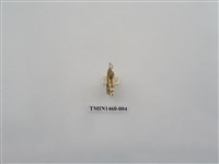 藏品(尺蠖蛾科)的圖片